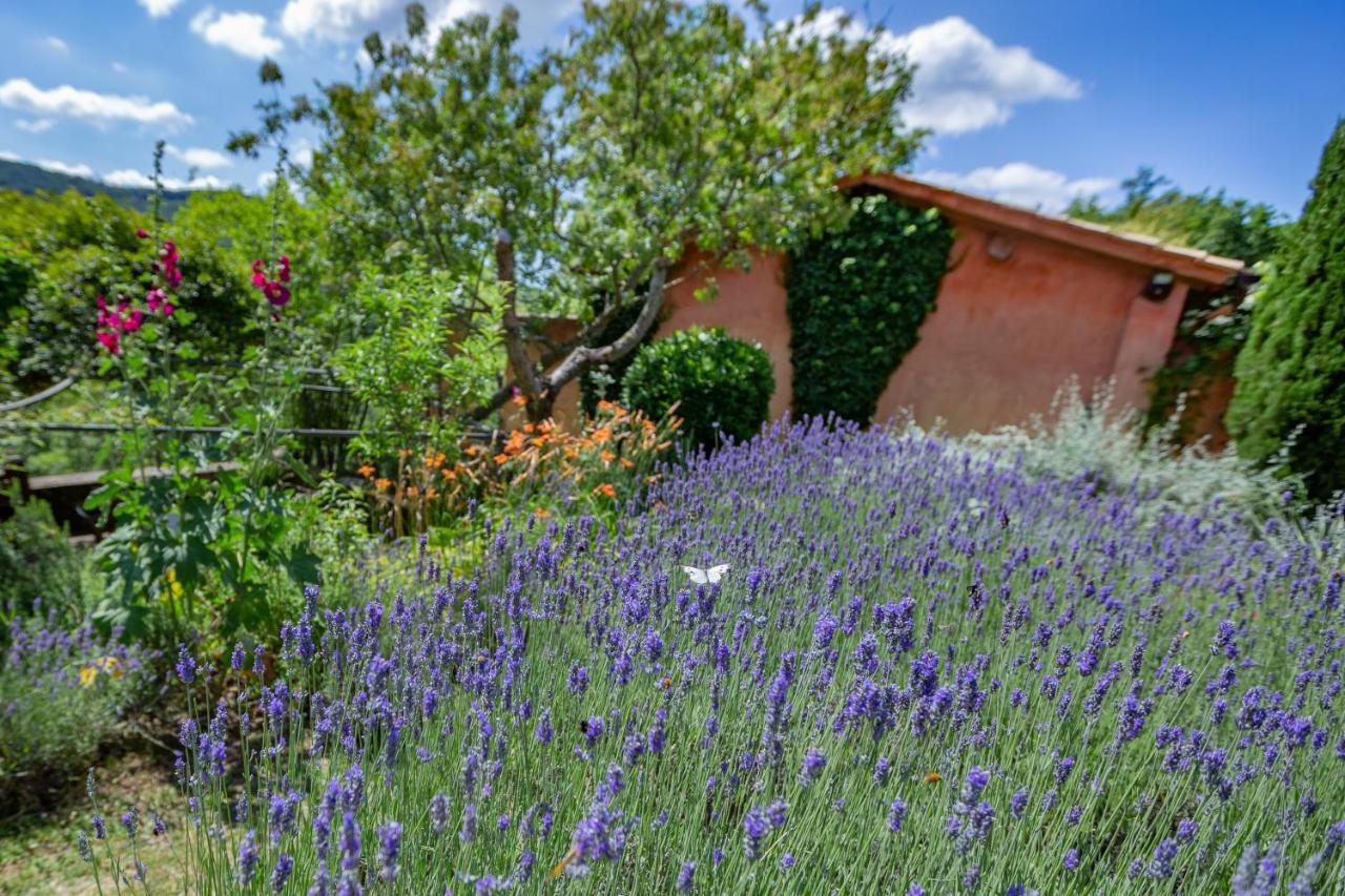 Casa Rosa Vendégház Santa Maria Lignano Kültér fotó